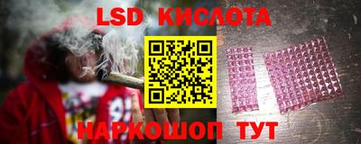 a pvp Гусев