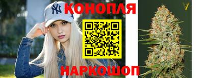 a pvp Гусев