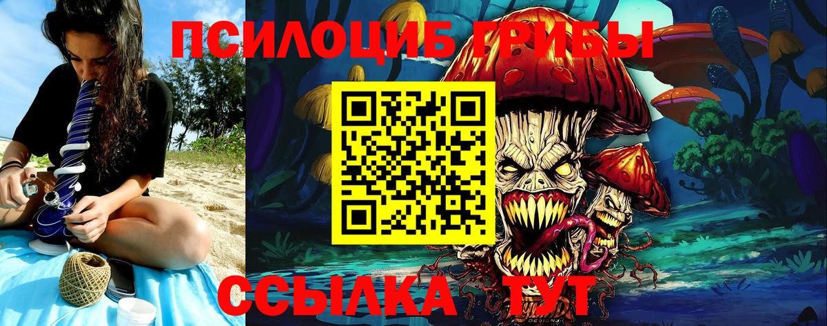 Галлюциногенные грибы мицелий Выкса