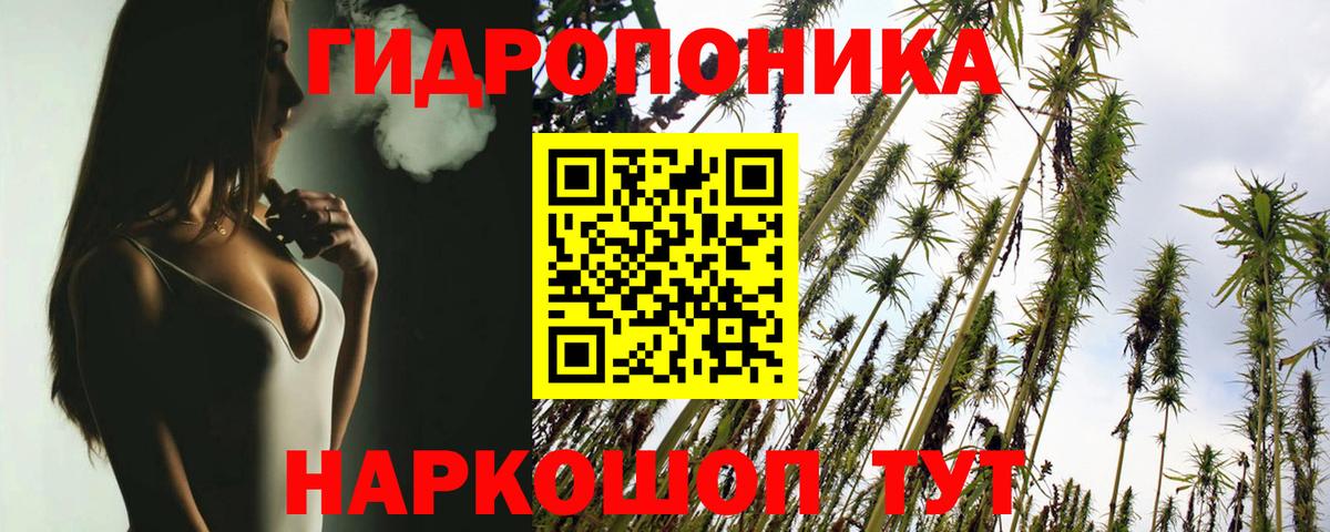 Бошки марихуана тримм  Канабис планчик  Выкса  Вход с VPN  Каннабис VHQ 